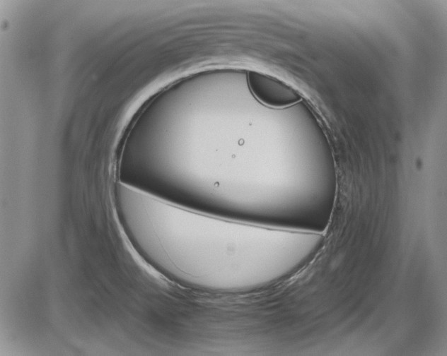 X0000086111519200703231103