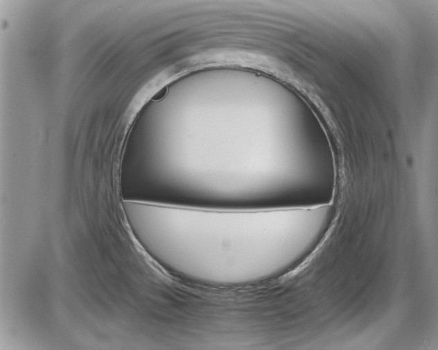 X0000086111529200703231103