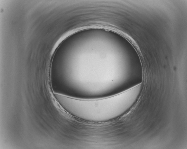X0000086111530200703231103