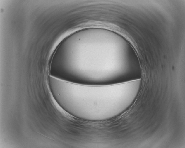 X0000086111531200703231103