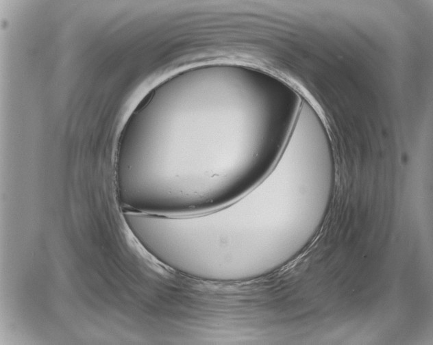 X0000086111532200703231103