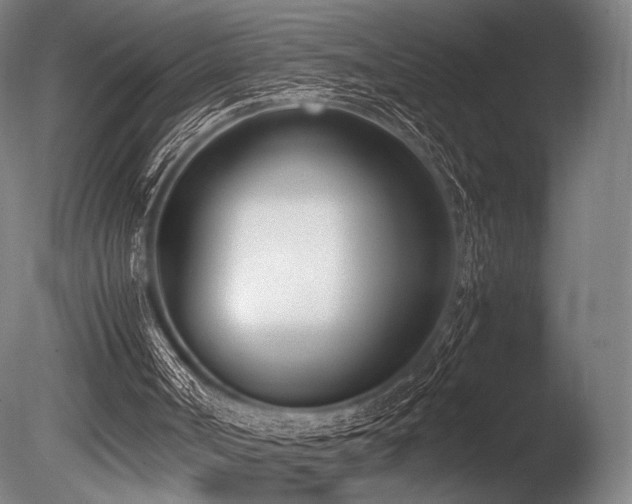 X0000086110002200703231513