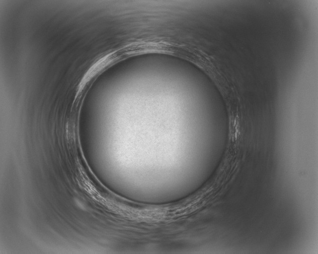 X0000086110004200703231513