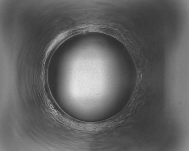X0000086110006200703231513