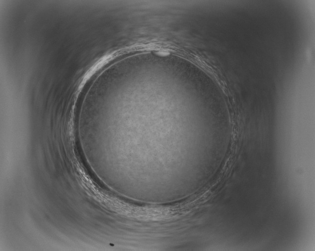 X0000086110008200703231513