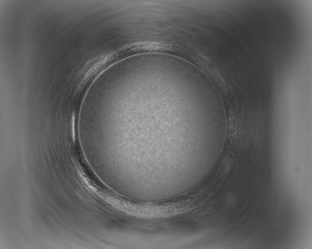 X0000086110014200703231513