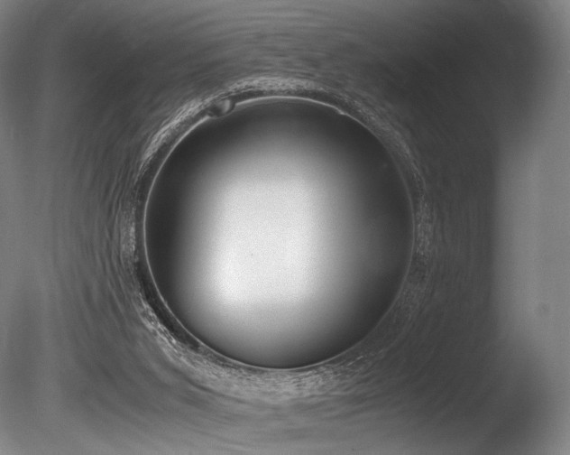 X0000086110015200703231513