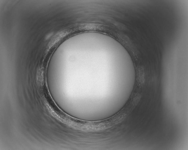 X0000086110016200703231513