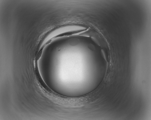 X0000086110019200703231513