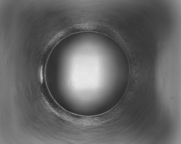 X0000086110020200703231513
