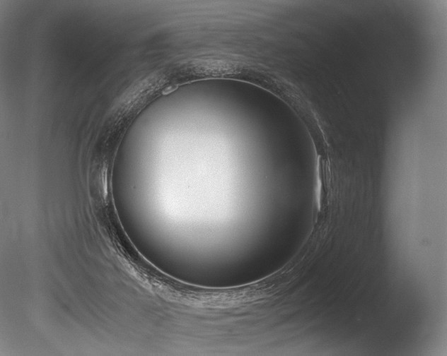 X0000086110021200703231513
