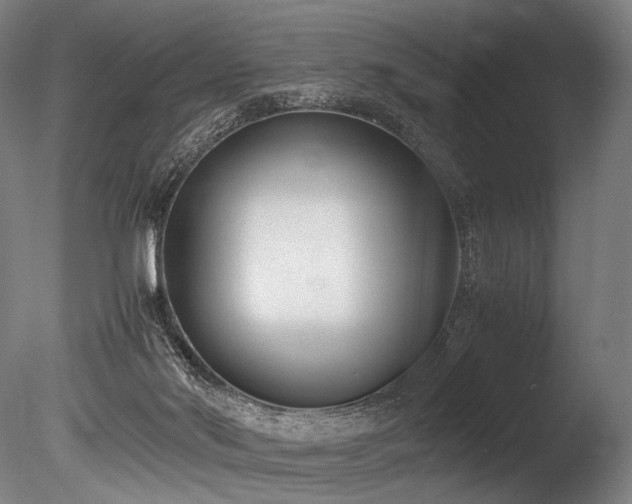 X0000086110022200703231513