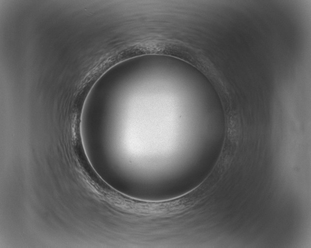 X0000086110023200703231513