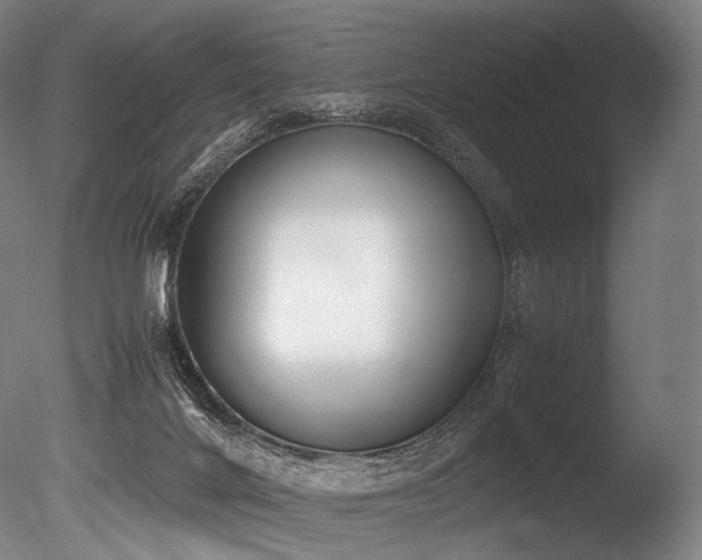 X0000086110024200703231513