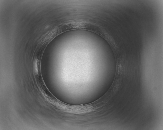 X0000086110026200703231513