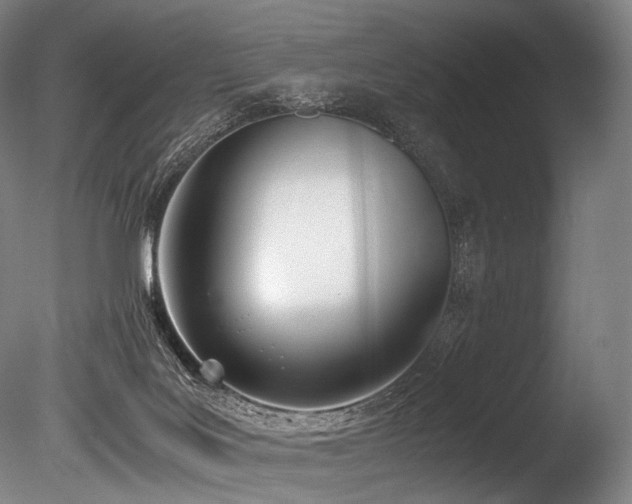 X0000086110027200703231513