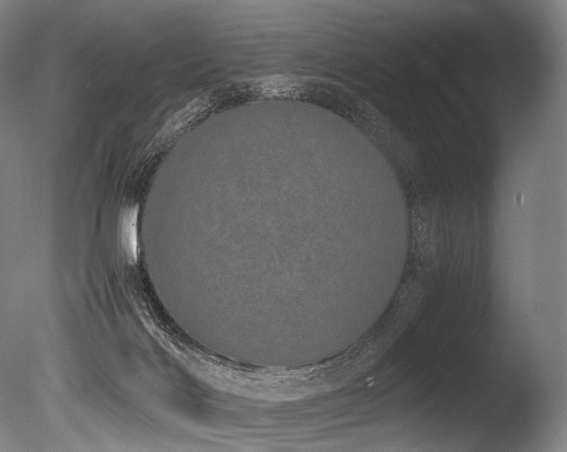 X0000086110028200703231513