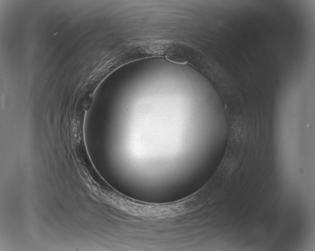X0000086110031200703231513