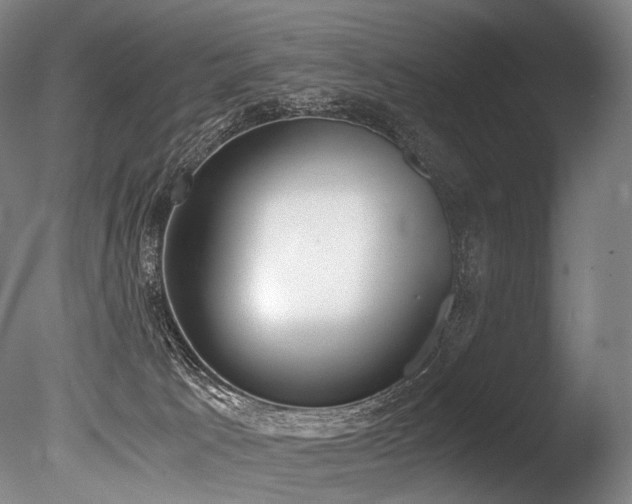X0000086110033200703231513