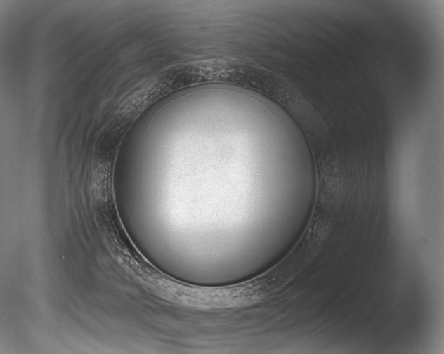 X0000086110034200703231513