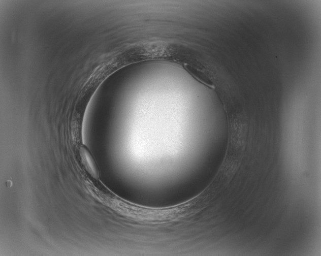 X0000086110035200703231513