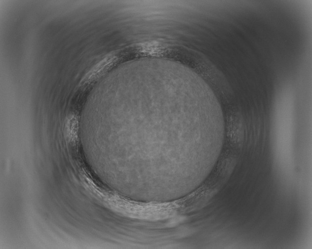 X0000086110036200703231513