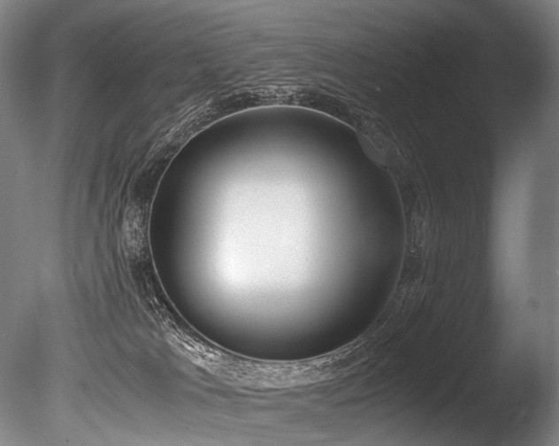 X0000086110037200703231513