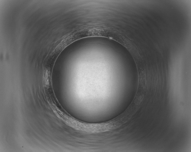 X0000086110038200703231513