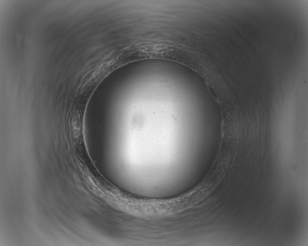 X0000086110040200703231513