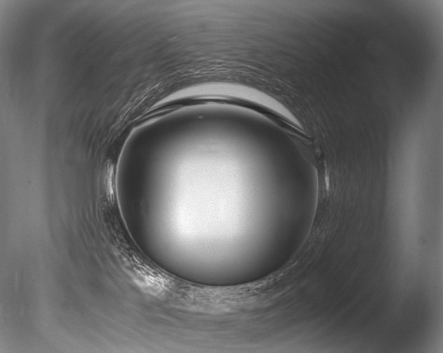 X0000086110041200703231513