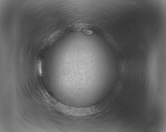 X0000086110042200703231513