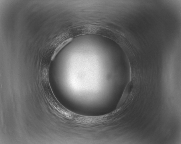 X0000086110045200703231513