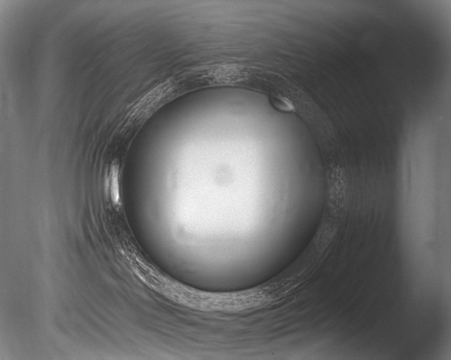 X0000086110046200703231513