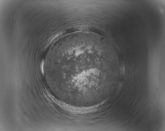 X0000086110047200703231513