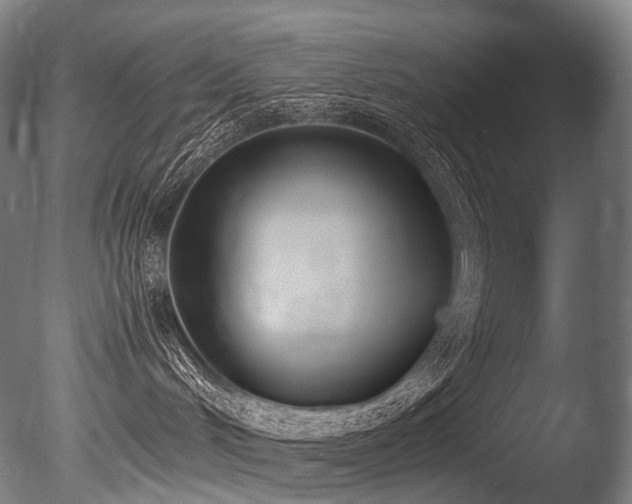 X0000086110048200703231513