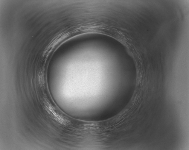 X0000086110050200703231512