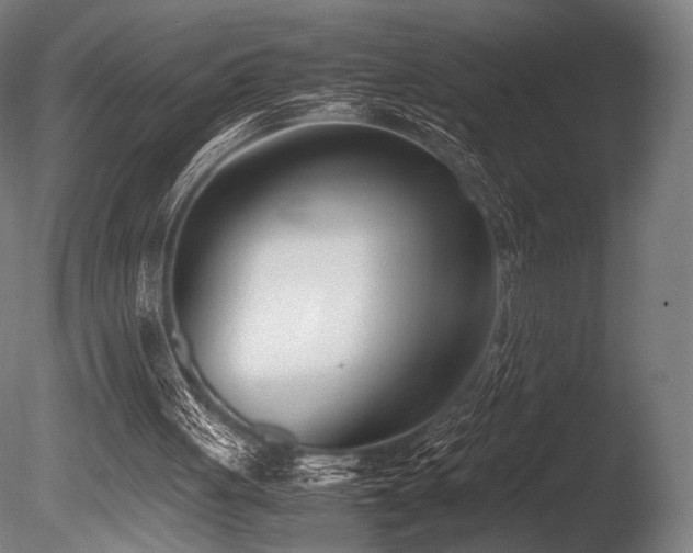 X0000086110051200703231512