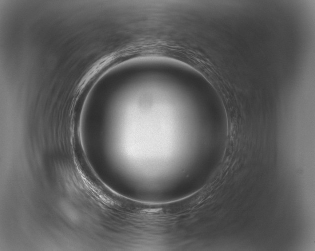 X0000086110054200703231512
