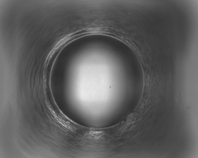 X0000086110055200703231512