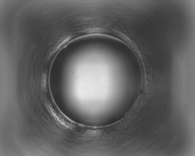 X0000086110057200703231512