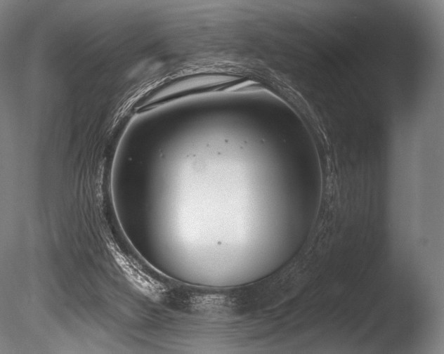X0000086110058200703231512