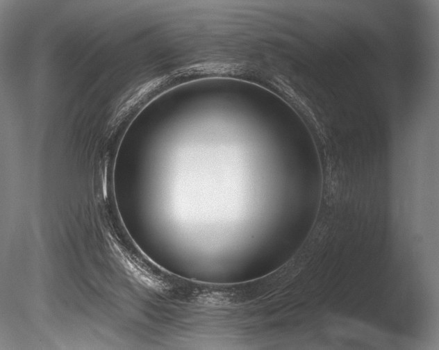 X0000086110062200703231512