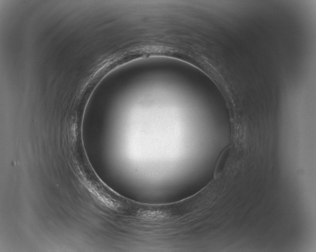 X0000086110063200703231512