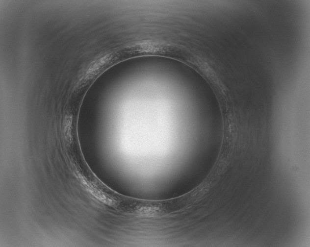 X0000086110066200703231512