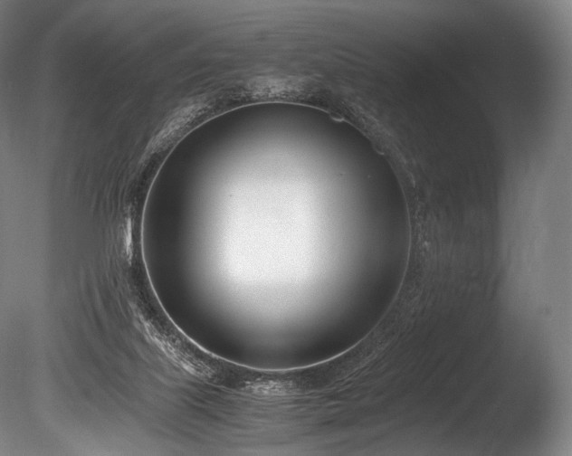 X0000086110067200703231512