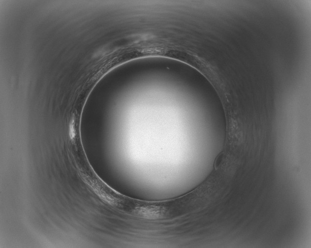 X0000086110069200703231512