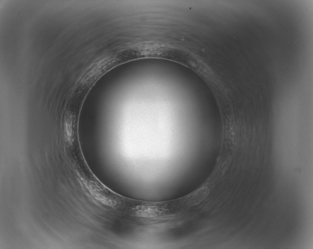 X0000086110074200703231512