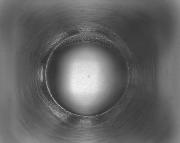 X0000086110076200703231512