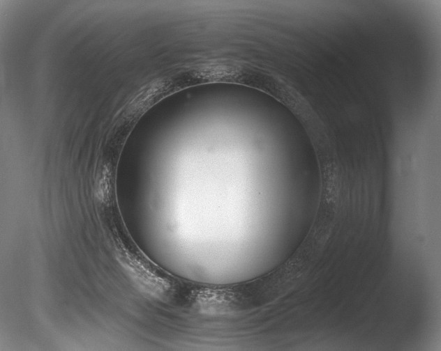 X0000086110077200703231512