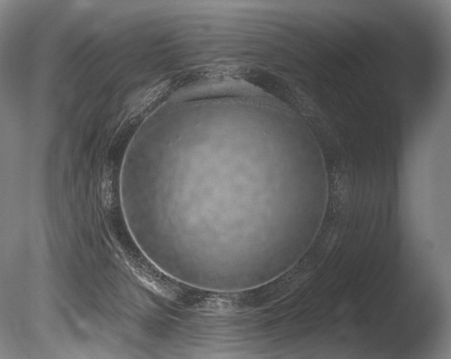 X0000086110080200703231512